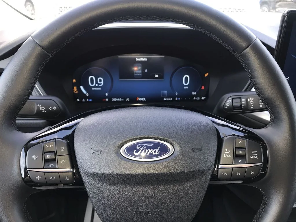 Used 2025  Ford Platinum image 14