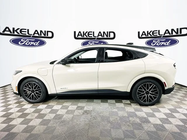 New 2026 Beige Ford Premium image 7