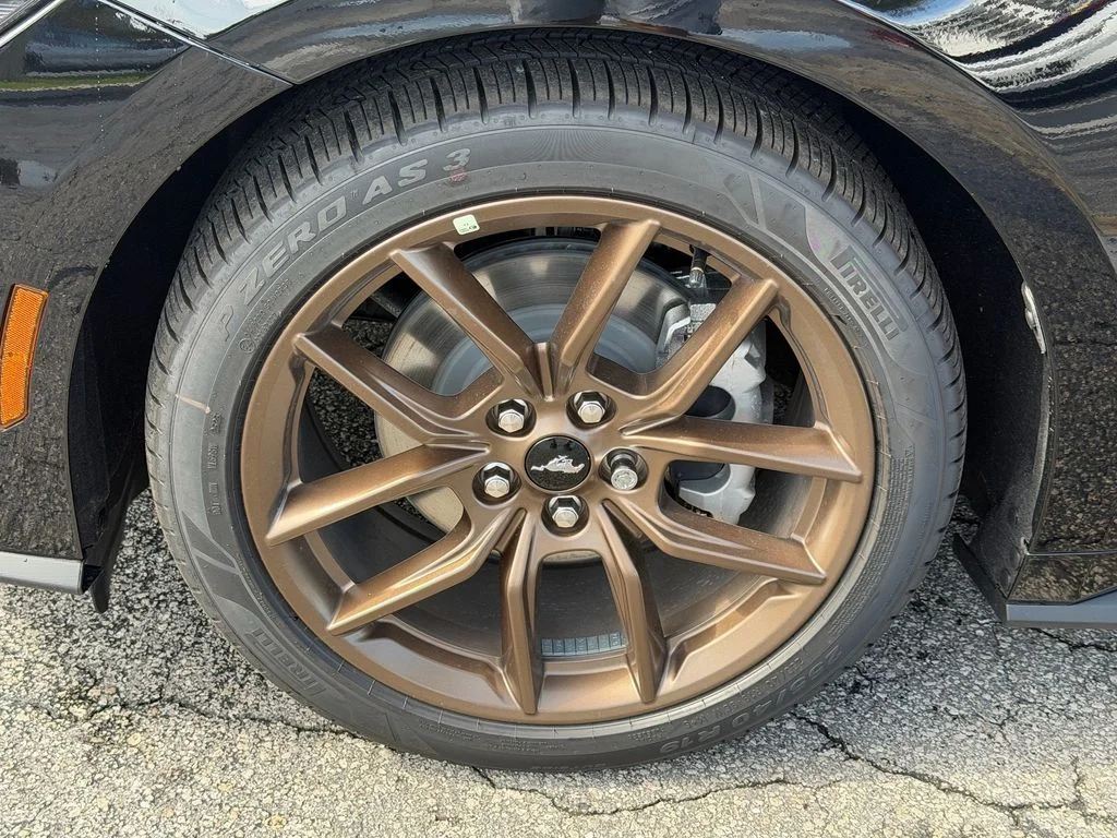 New 2026 Black Ford EcoBoost image 15