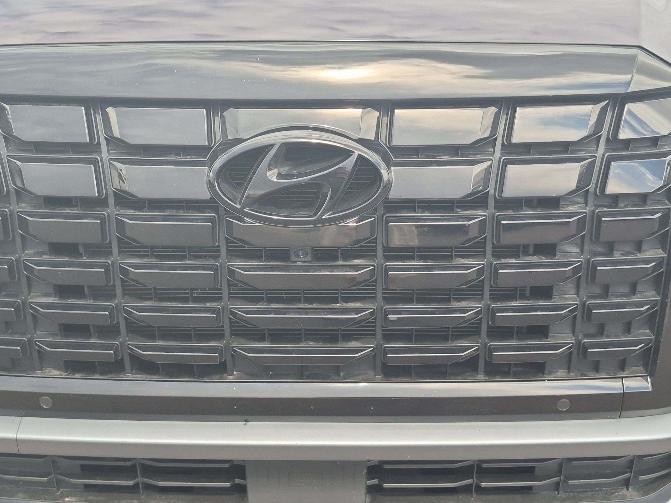 2023 Hyundai Palisade Limited - Photo 10