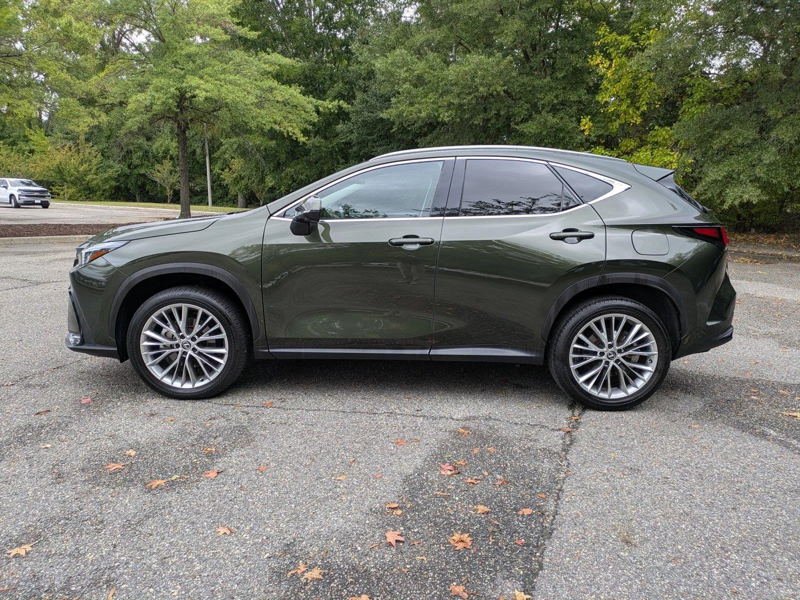 Used 2025 Nori Green Pearl Lexus NX 350 Premium image 7