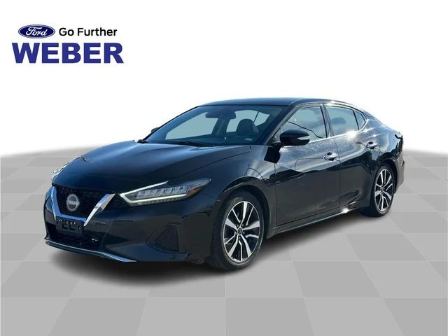 2023 Nissan Maxima SV CVT