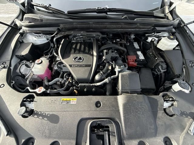 Photo 27
