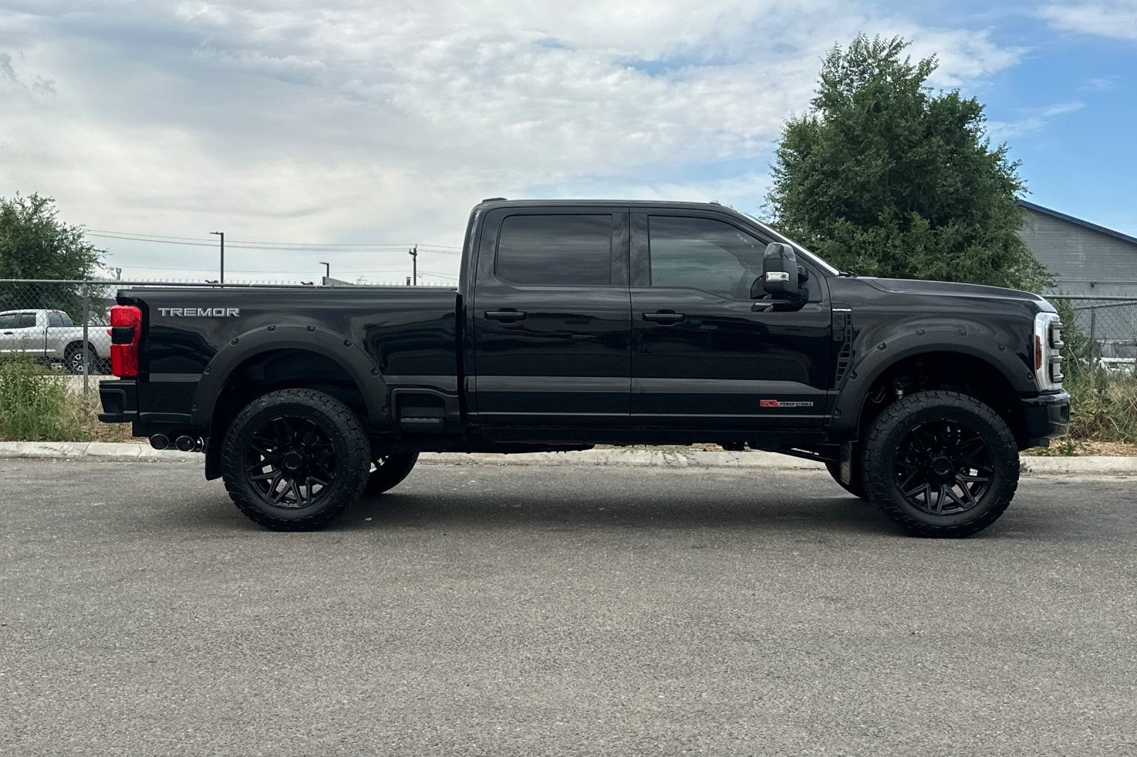 Used 2025  Ford Platinum image 2
