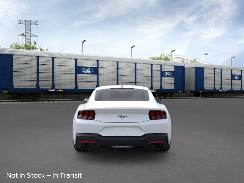New 2026 Oxford White Ford EcoBoost® Fastback image 5