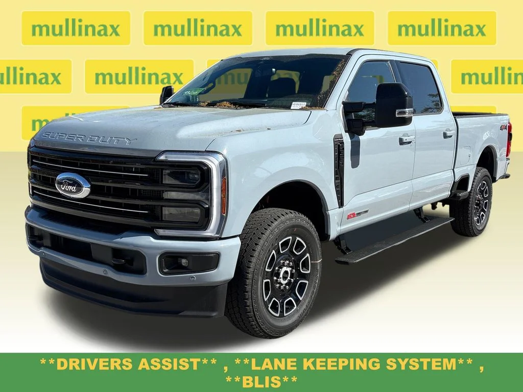 New 2026 Gray Ford Platinum image 15