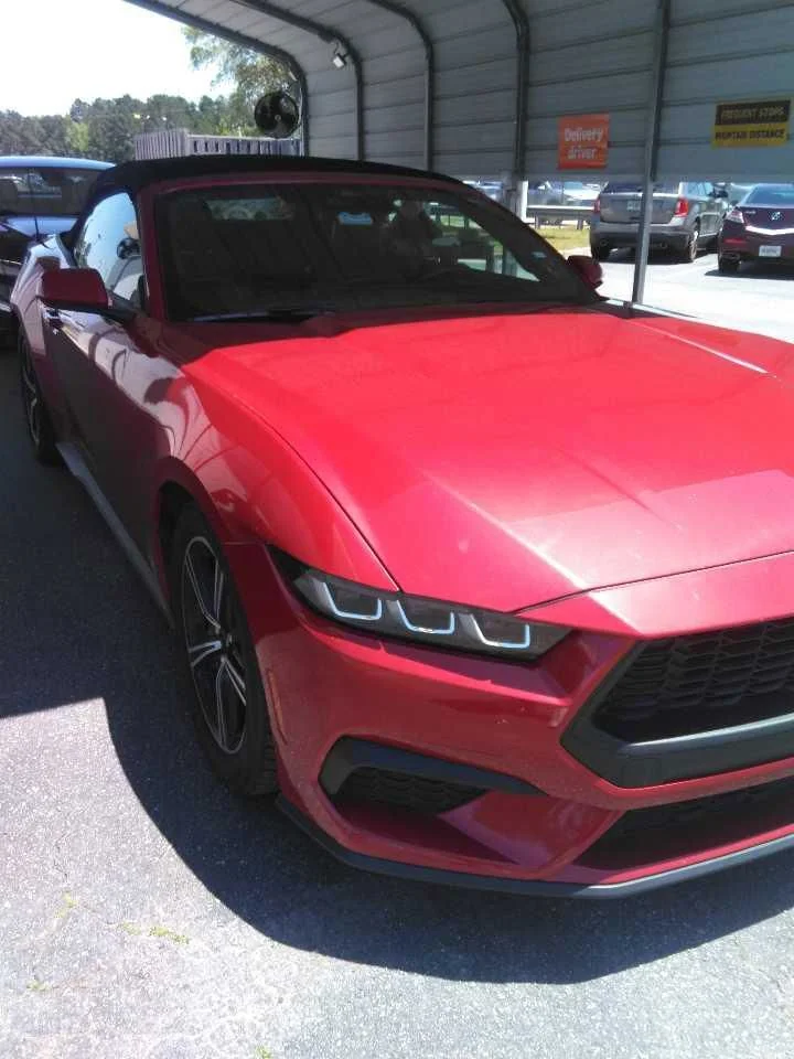 2024 Ford Mustang's photo