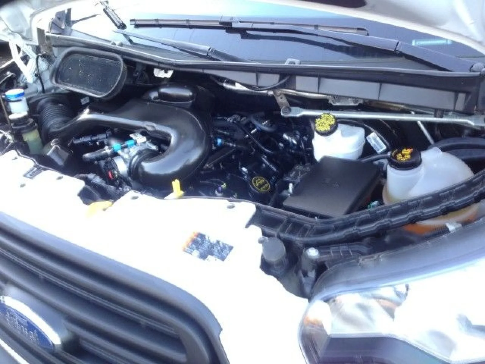 Used 2019 Oxford White Ford w/ rearCam image 6