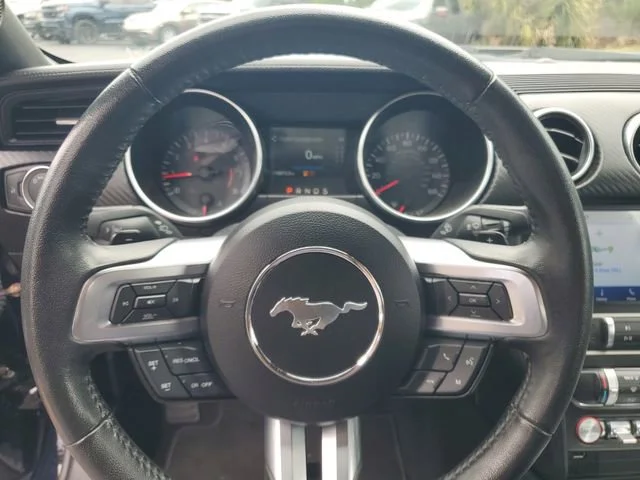 View 25