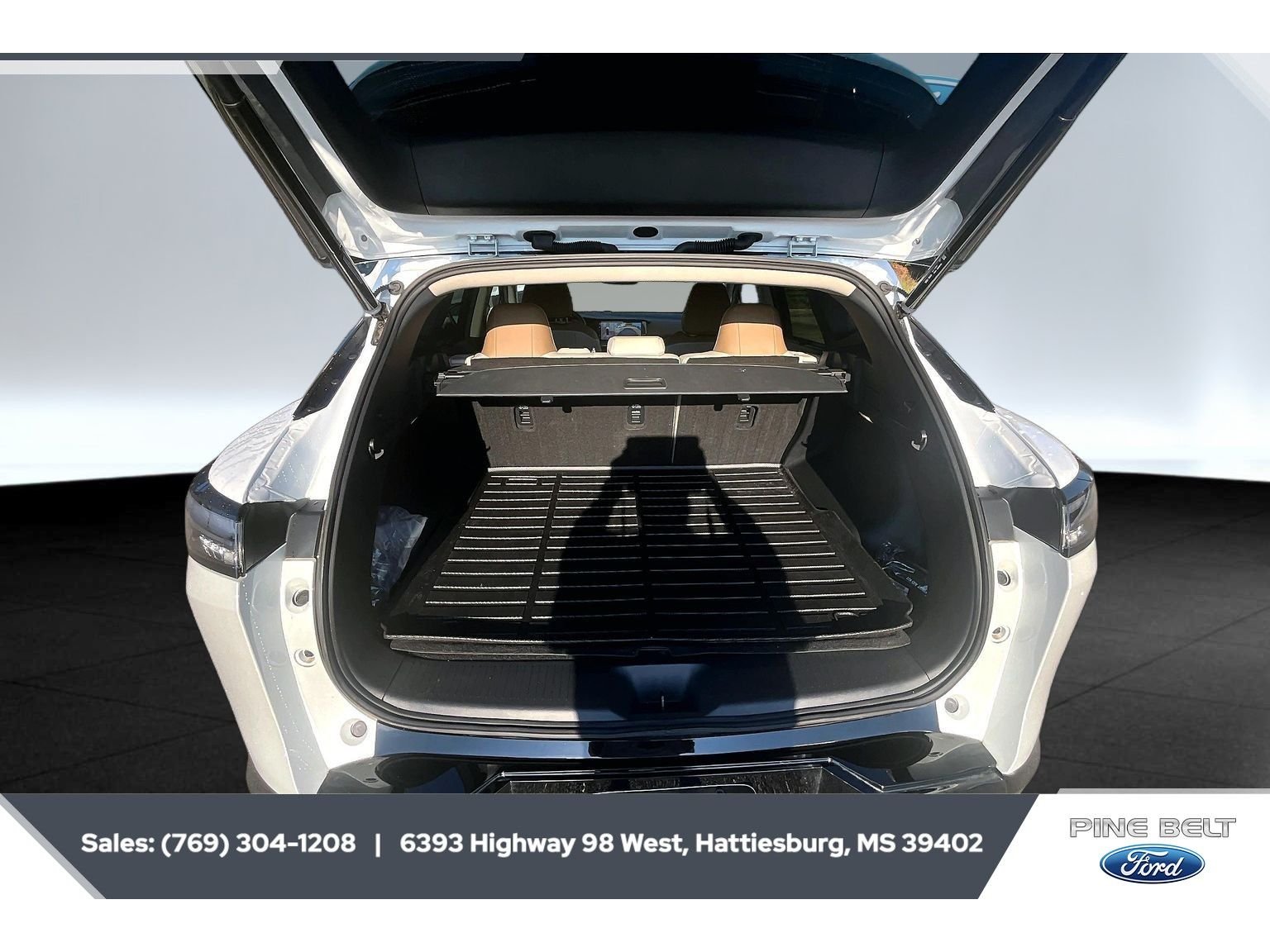 Used 2025 Everest White Pearl Tricoat Nissan Platinum image 21