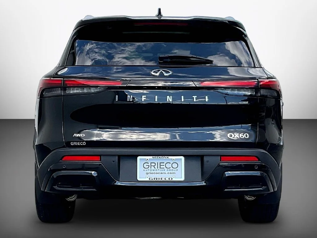 Used 2025 Mineral INFINITI LUXE image 6