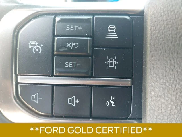 Used 2024 Red Ford Platinum image 17