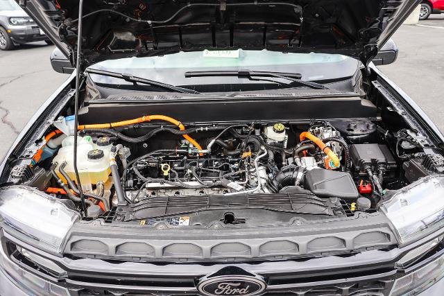 Certified Used 2024 Shadow Black Ford  image 28