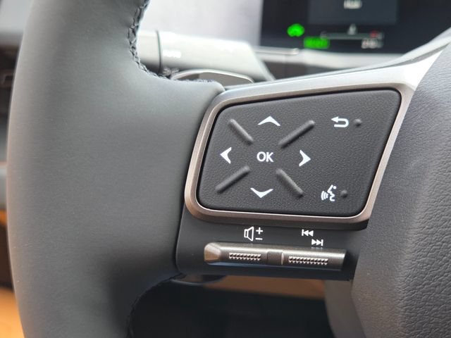 New 2026 Iridium Lexus PREMIUM image 19