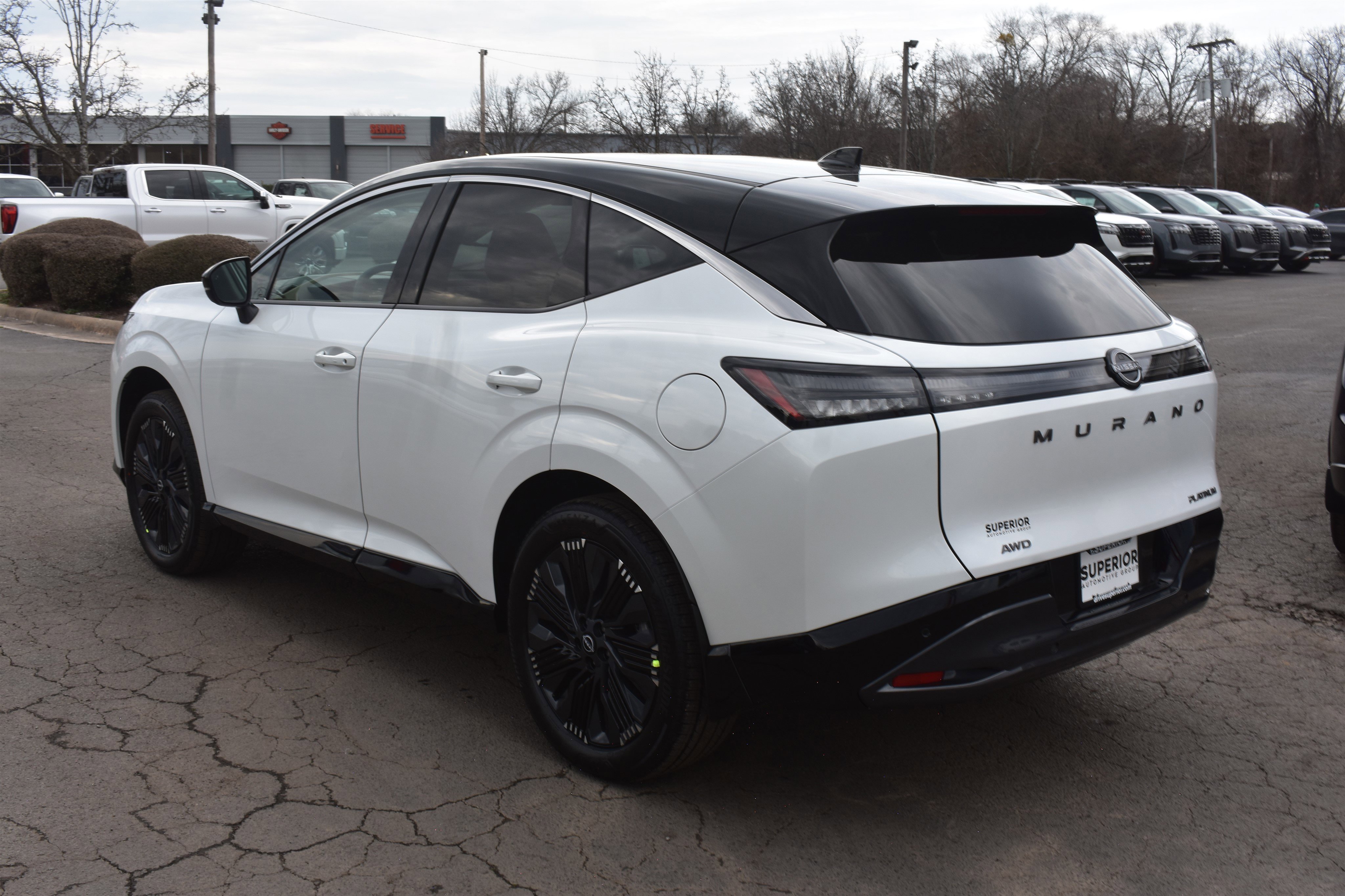 New 2026 Everest White Pearl TriCoat / Super Black Two-tone Nissan Platinum image 9