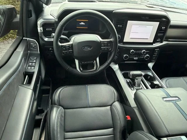 2025 Ford F-150 Platinum - Photo 11