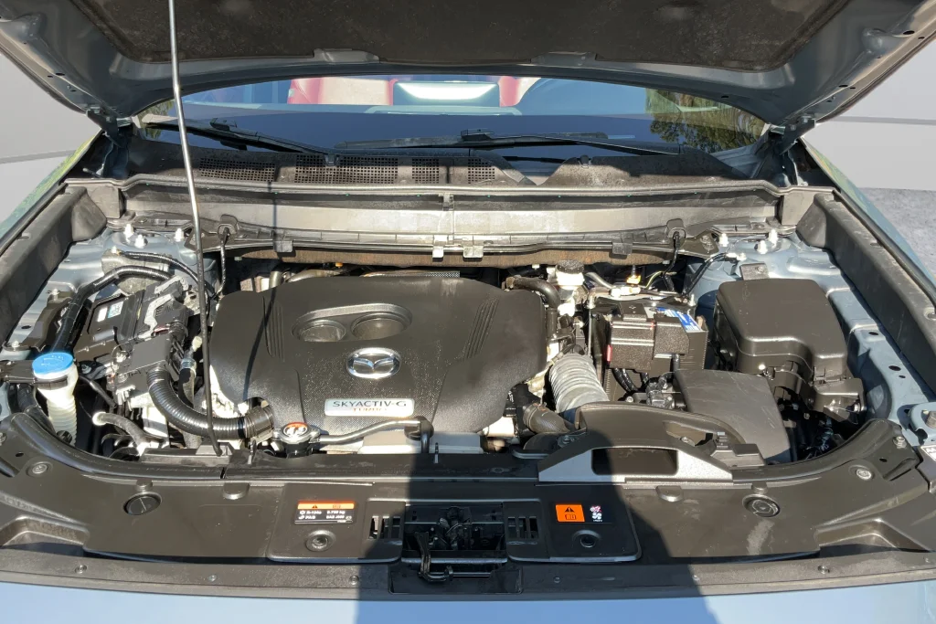 2021 Mazda CX-9 Carbon Edition - Photo 22