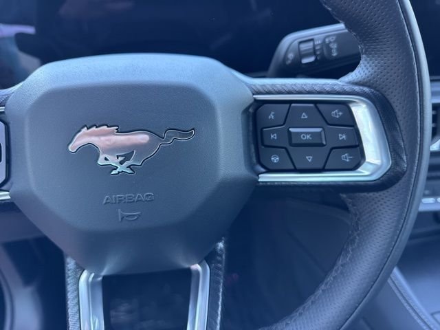 New 2025 Shadow Black Ford EcoBoost® Premium Convertible image 14