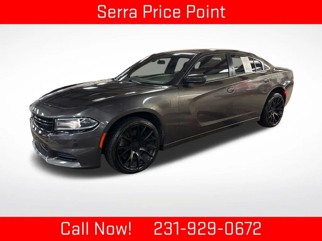 Used 2020 Gray Dodge Police image 1