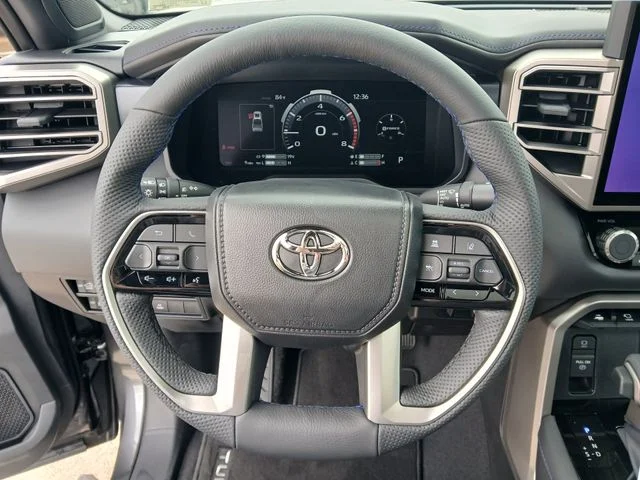 New 2026 Magnetic Gray Metallic Toyota Platinum image 10