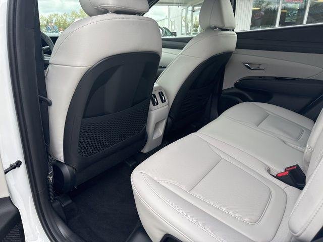 New 2026 Serenity White Pearl Hyundai Limited AWD image 16