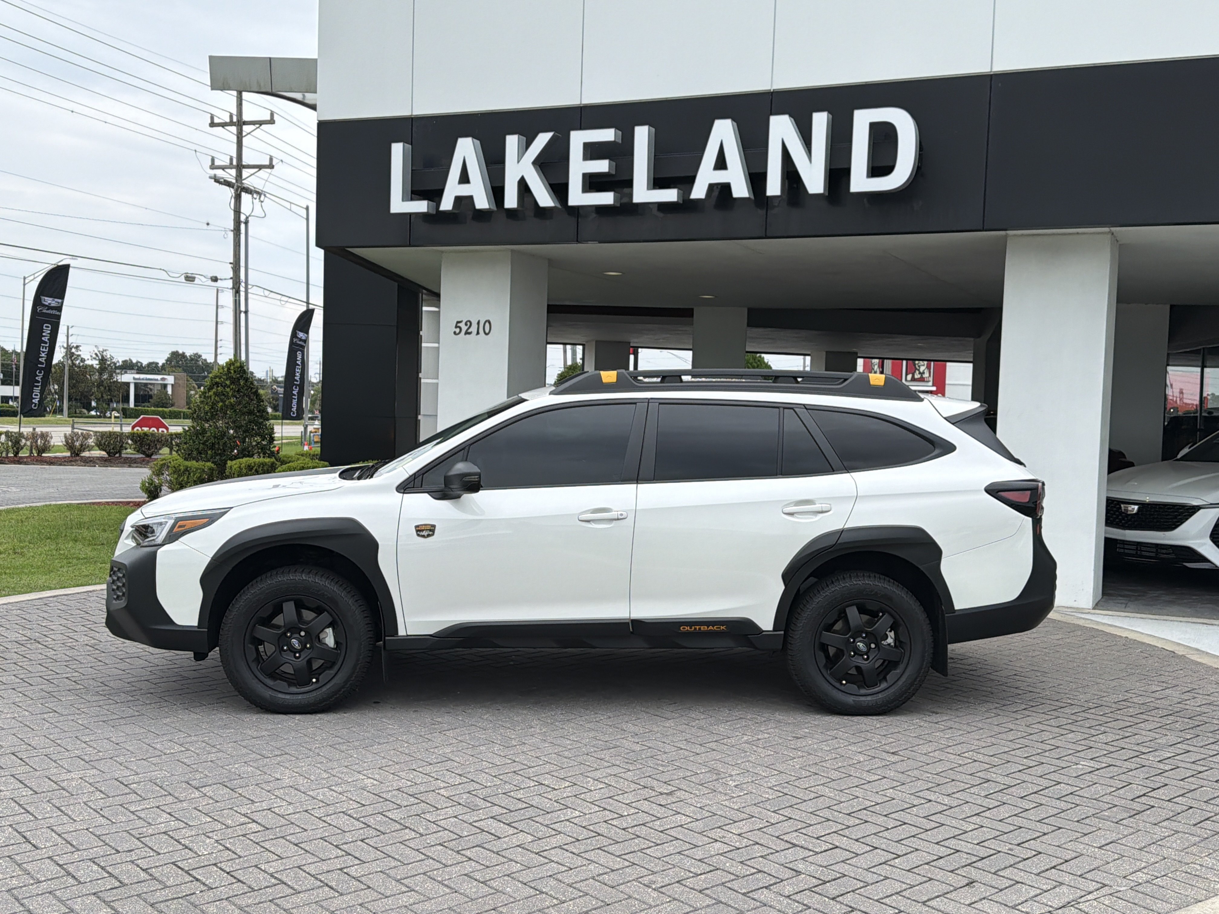 Certified Used 2025 Crystal White Pearl Subaru Wilderness image 3