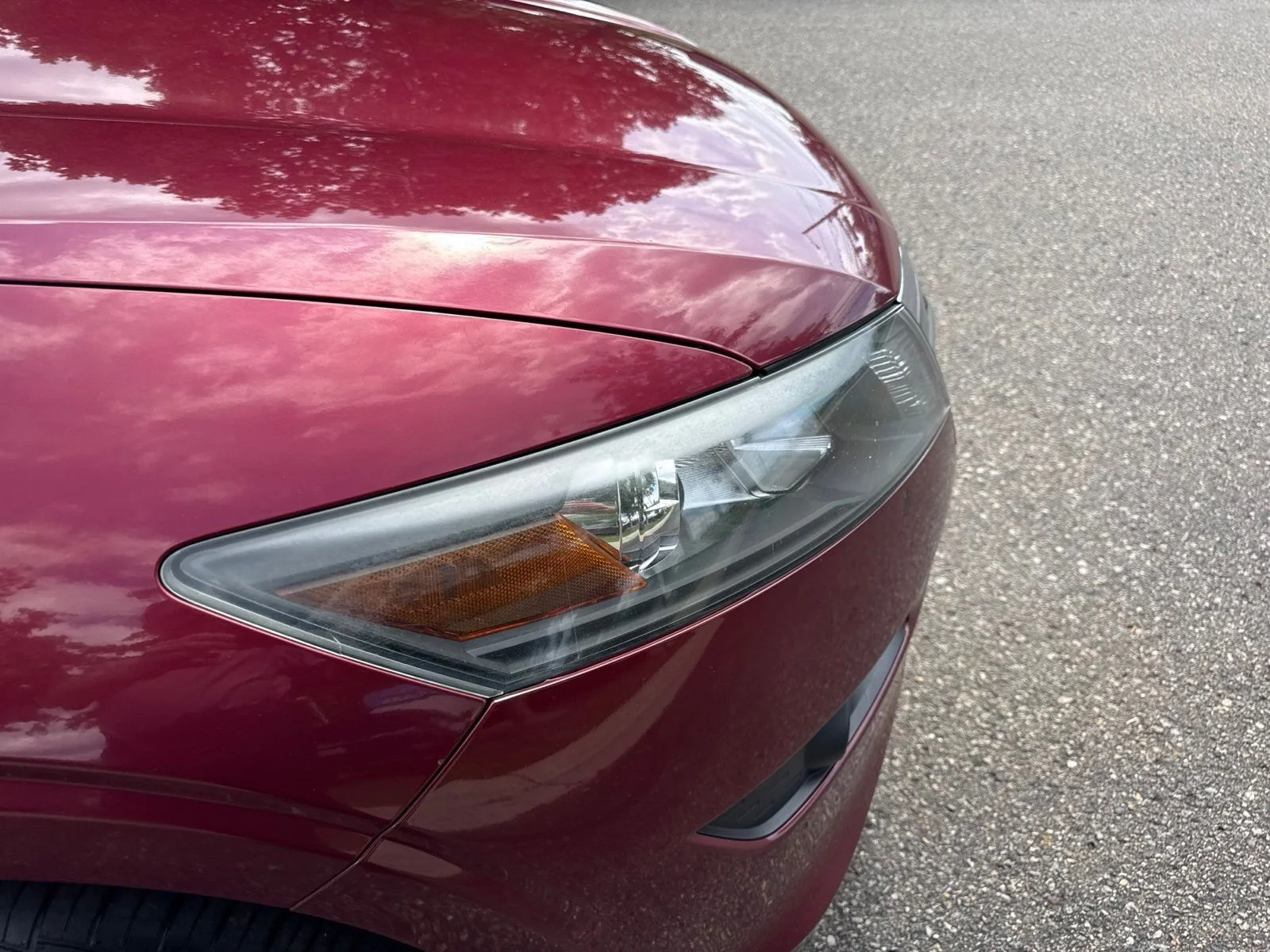 Used 2010 Tango Red Pearl Honda EX-L image 4