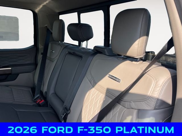 New 2026 Black Ford Platinum image 13