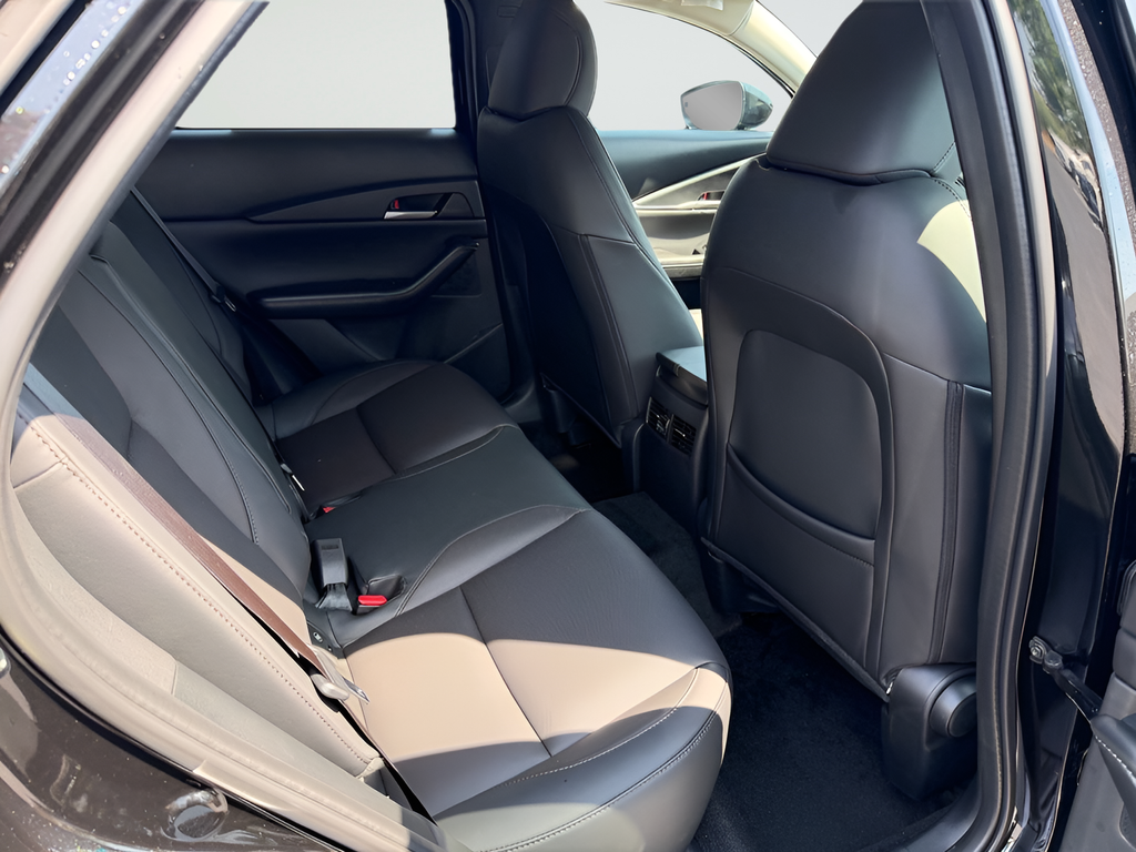 New 2026 Jet Black Mica Mazda 2.5 S Premium image 23