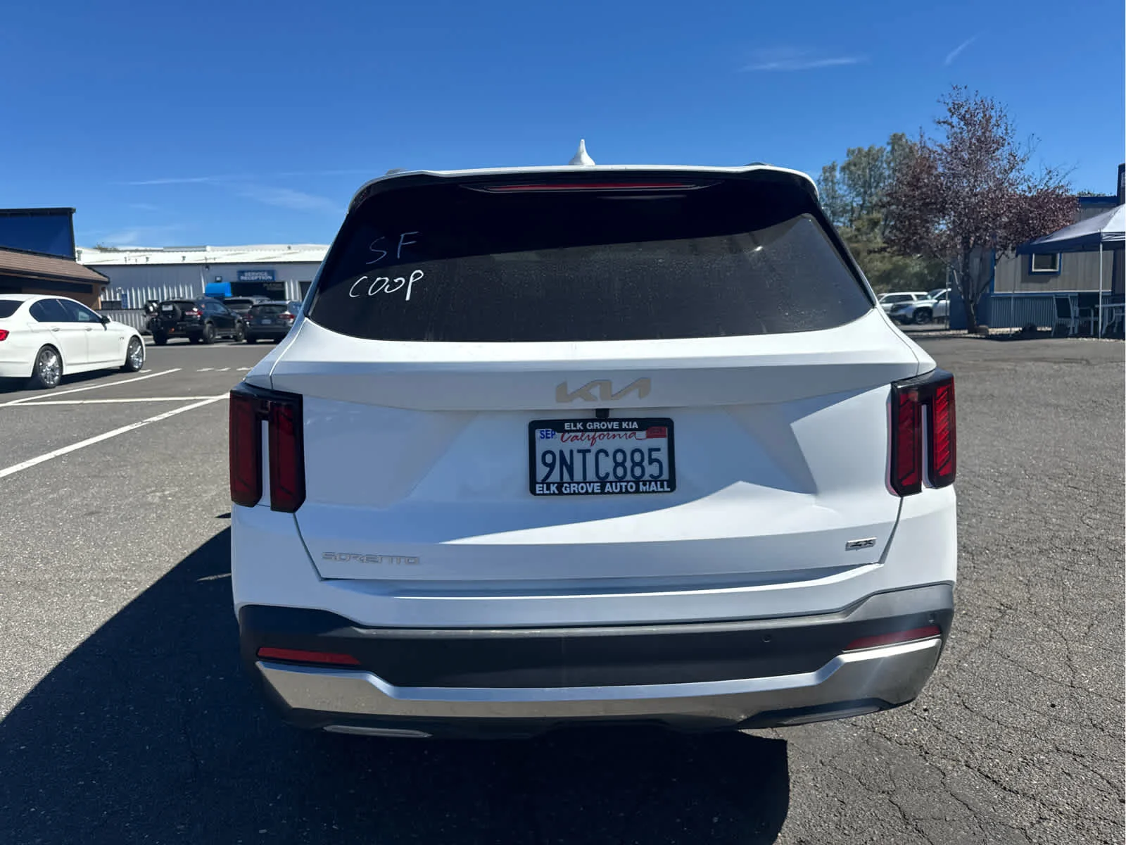 Used 2025 Glacial White Pearl Kia S image 6