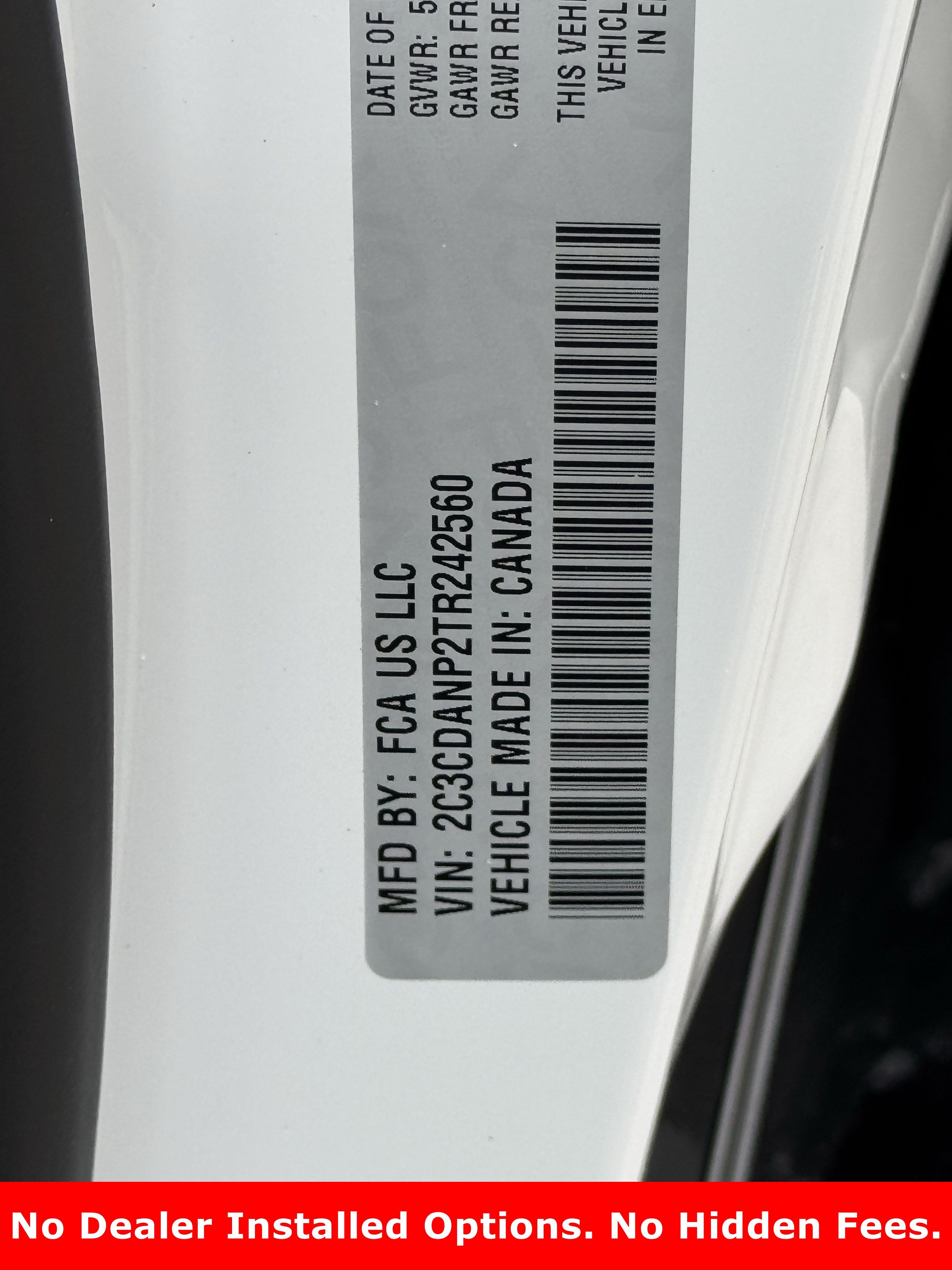 New 2026 White Knuckle Exterior Paint Dodge R/T image 21