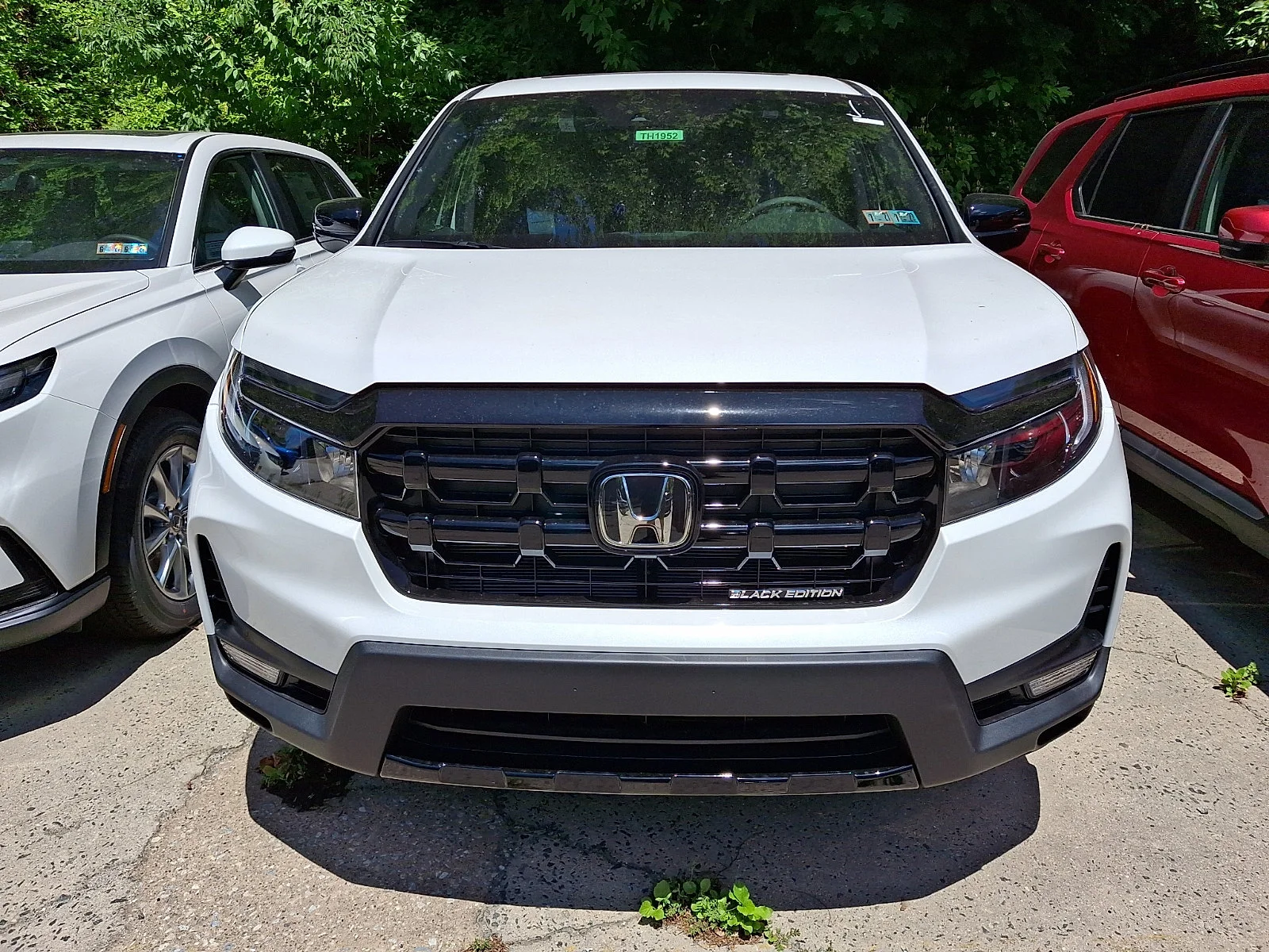 New 2026 Platinum White Pearl Honda Black Edition image 2