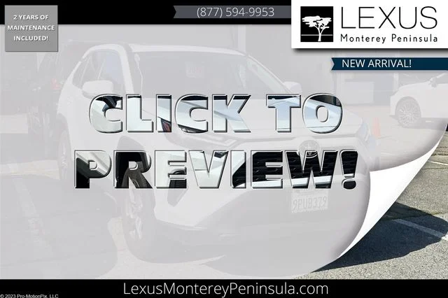 2025 Toyota RAV4 XLE AWD's photo