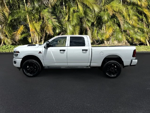 New 2026 Bright White Clear-Coat Exterior Paint RAM Black Express image 2