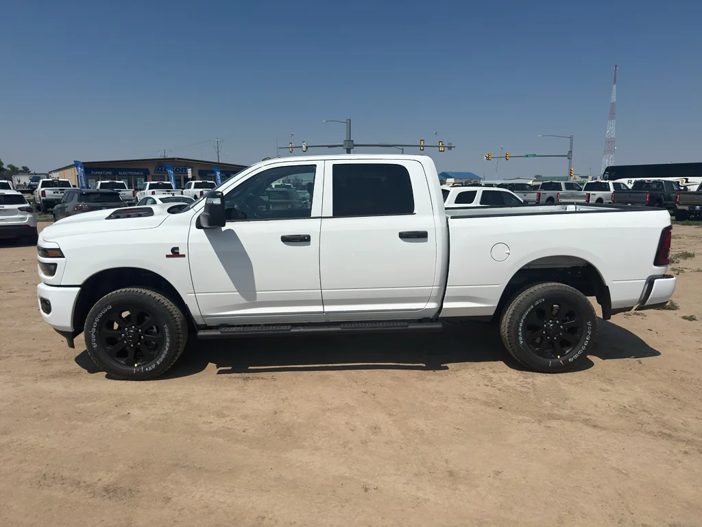 New 2026 Bright White Clear-Coat Exterior Paint RAM Black Express image 8
