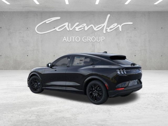 New 2026 Shadow Black Ford Premium image 5