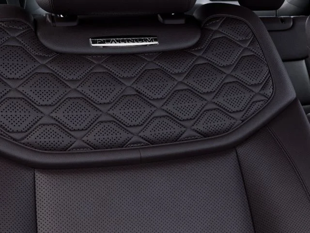 New 2027 Carbonized Gray Metallic Ford Platinum image 16