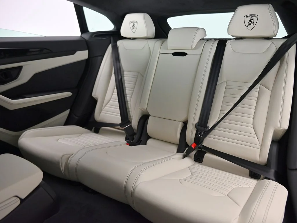 New 2026 Nero Nemesis Matt Lamborghini SE image 17