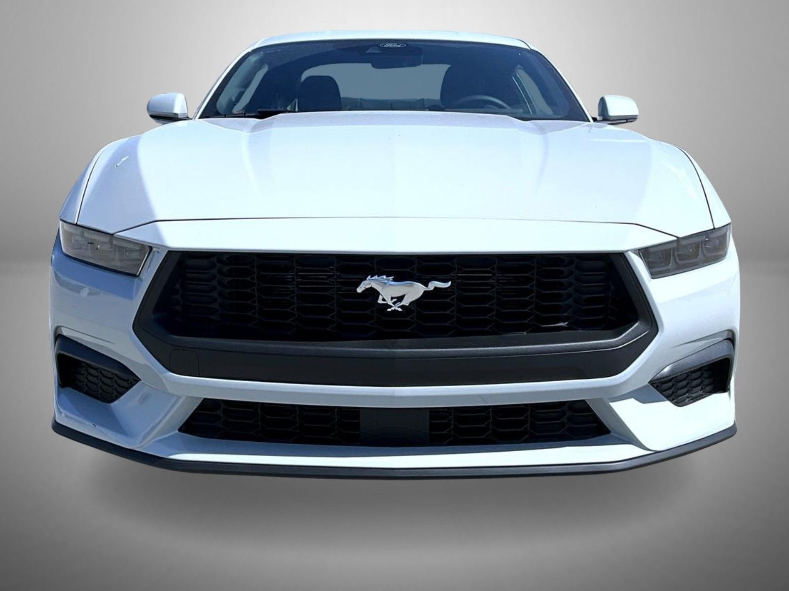 New 2026 Avalanche Gray Ford EcoBoost image 2