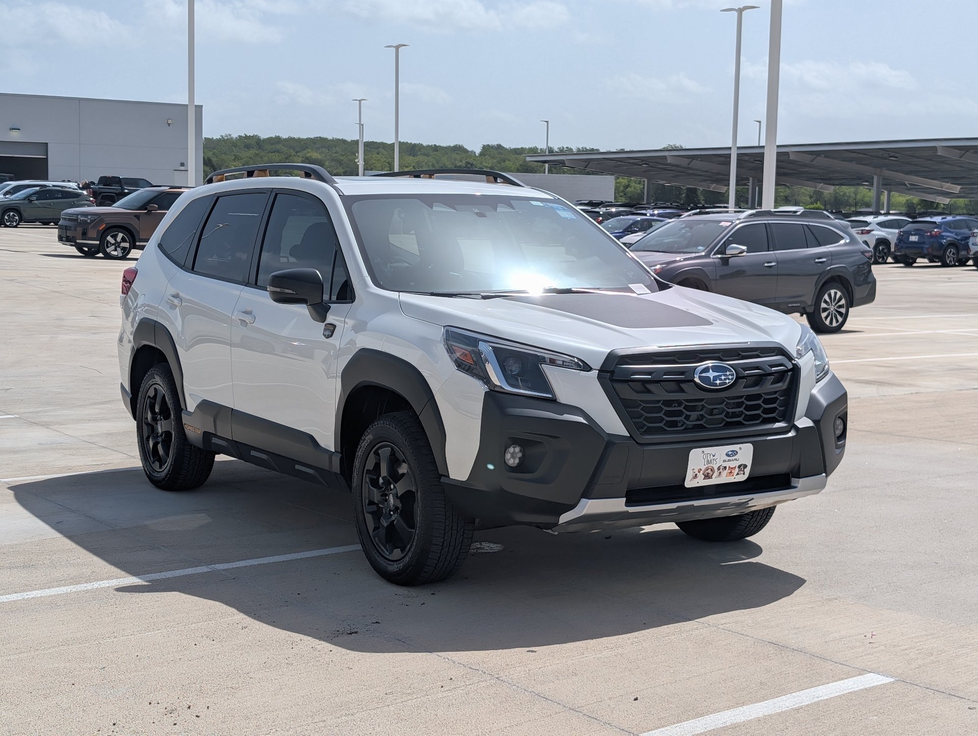 Certified Used 2025 White Subaru Wilderness image 7