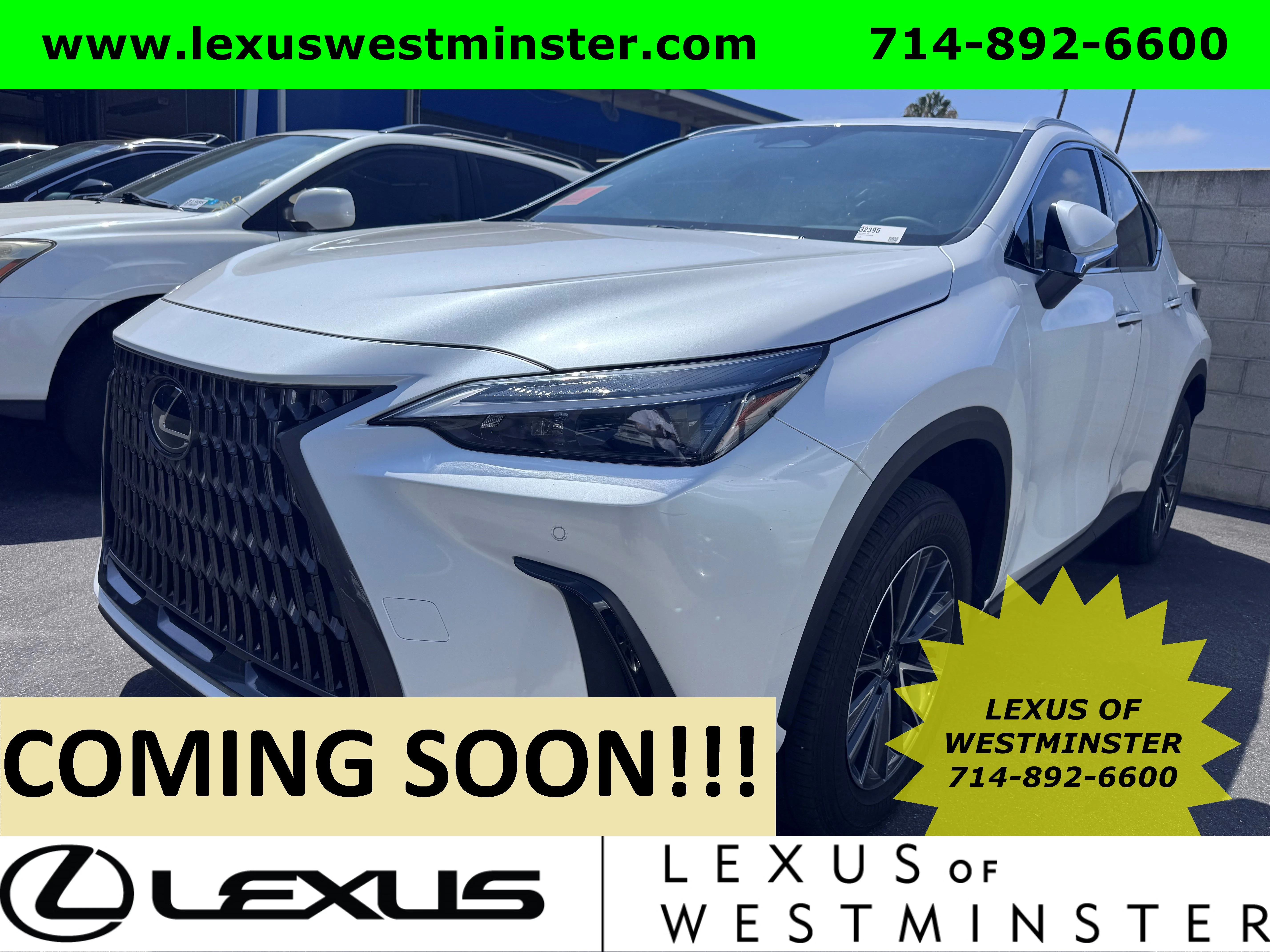 2025 Lexus NX 350h 350h AWD's photo