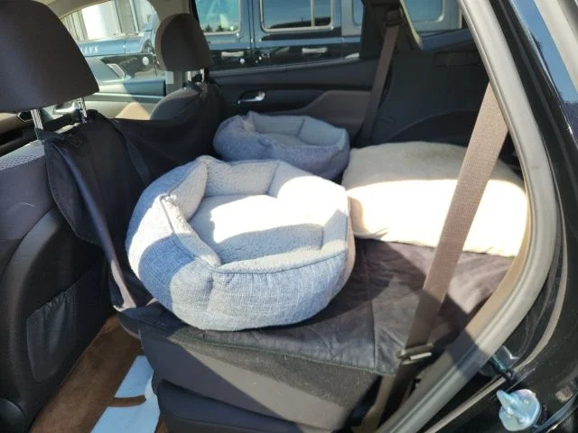 Used 2022 Twilight Black Hyundai Blue image 7
