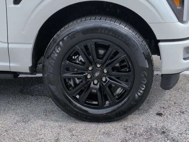 New 2026 White Ford Platinum image 11