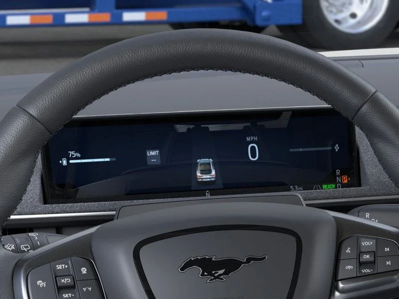 New 2026 Shadow Black Ford Premium image 13