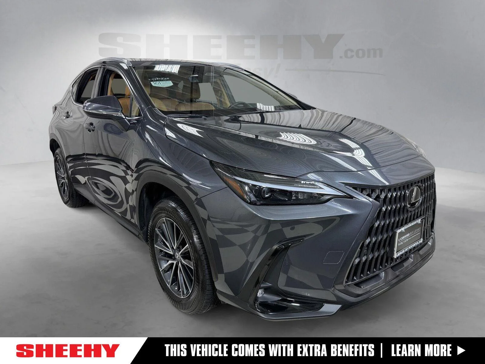 2025 Lexus NX