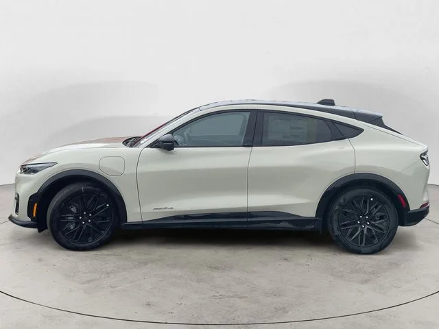 New 2026 Desert Sand Ford Premium image 2