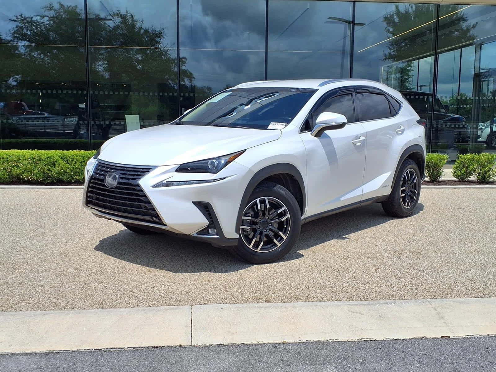 2019 Lexus NX 350h 300h AWD's photo