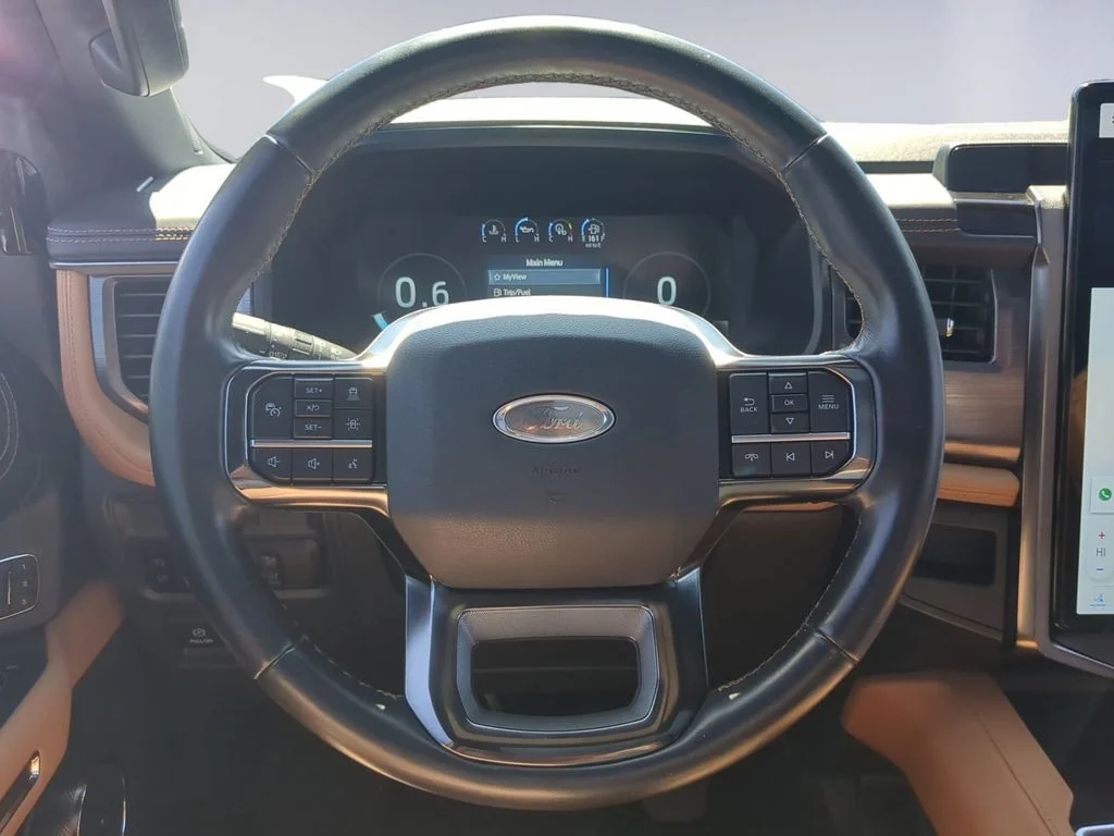 Used 2022 Blue Ford Platinum image 15