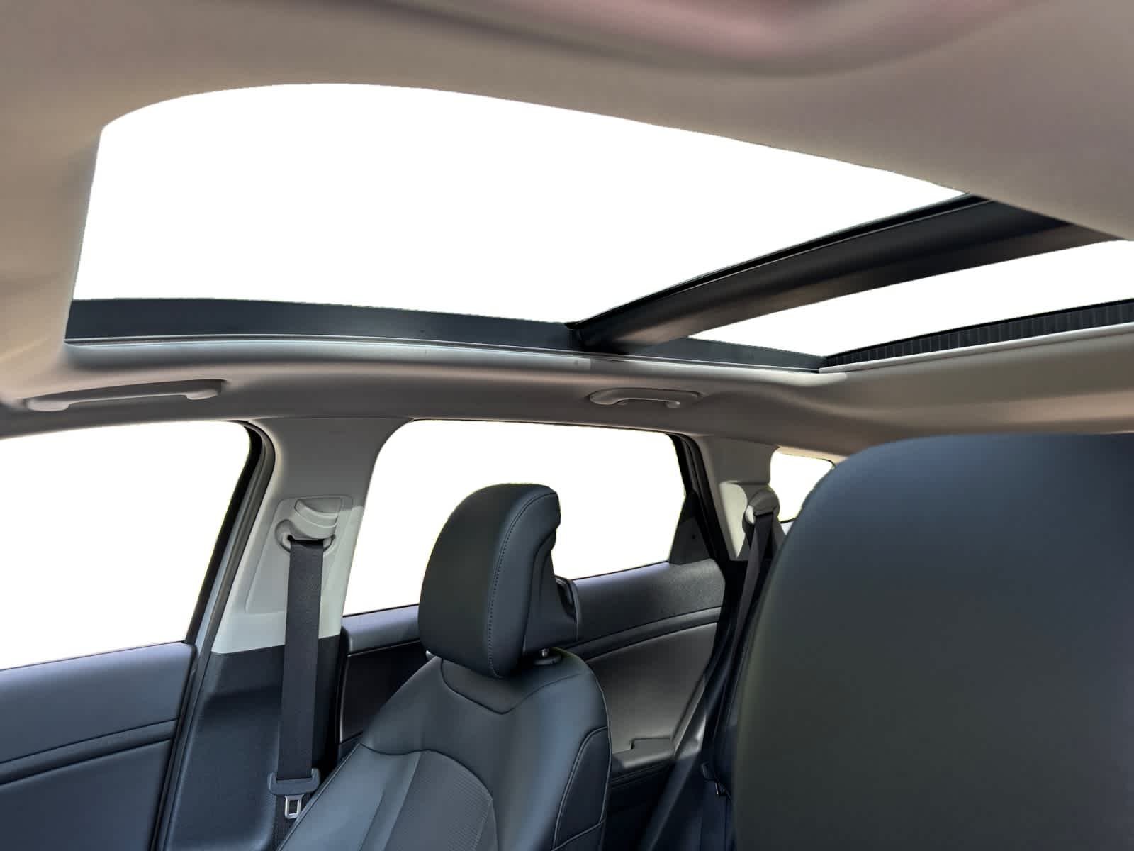New 2027 Wolf Gray Kia EX image 12