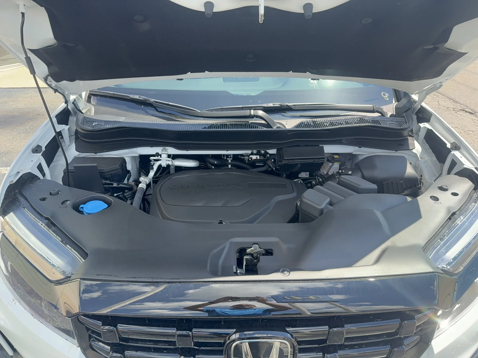 New 2026 Platinum White Pearl Honda Black Edition image 16
